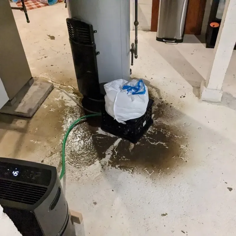 Sewage Backup Cleanup Service in Cove Creek, NC